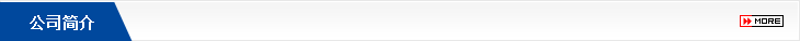 公司簡(jiǎn)介